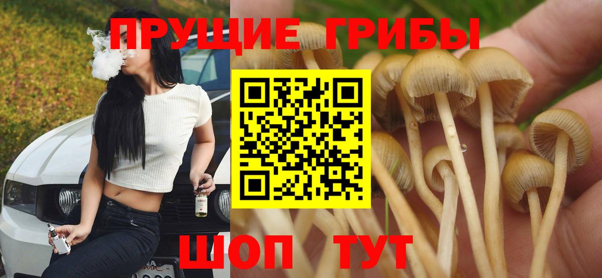 Лесной  Псилоцибиновые грибы Magic Shrooms  Псилоцибиновые грибы ЛСД  Вход с VPN 